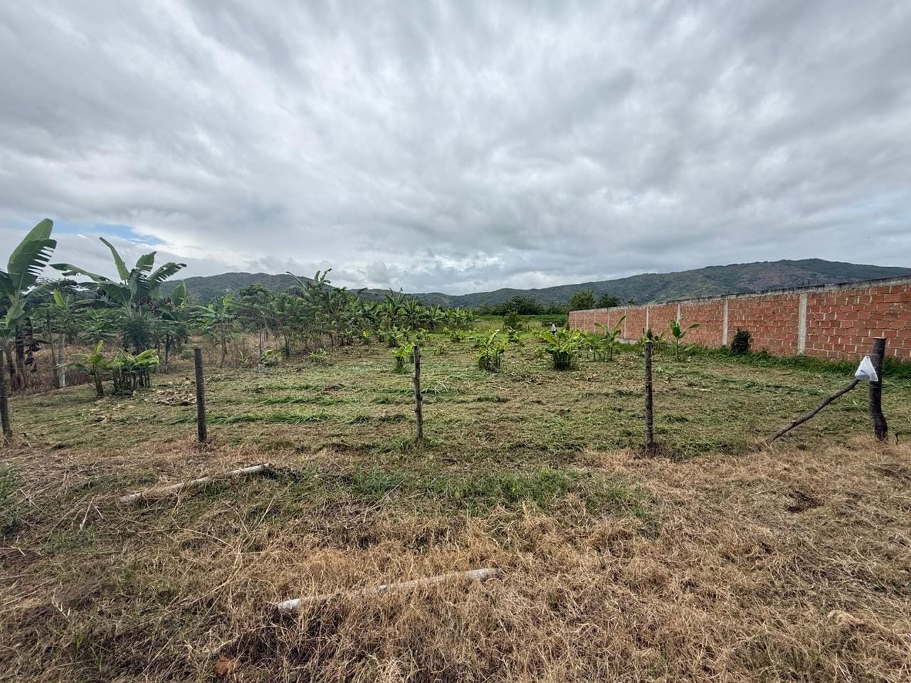 Lote actual en El Salto, Andalucía